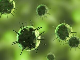 Bacteria that cause diseases in which mucous secretions appear