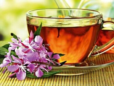 Fireweed tea can bring benefits and harm to the male body
