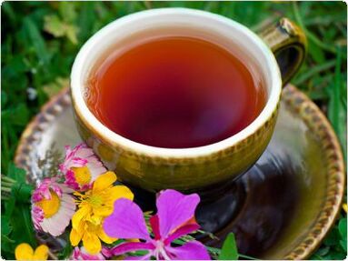 Ivan tea prepared for potency problems in men