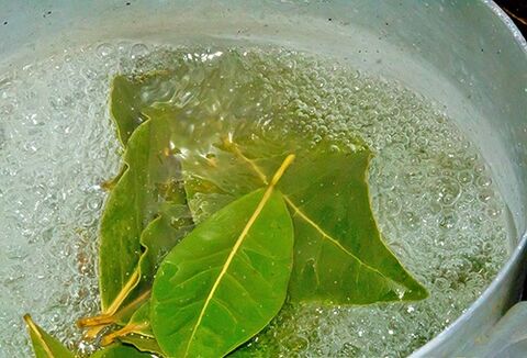 A decoction of bay leaves for a relaxing bath for potency problems