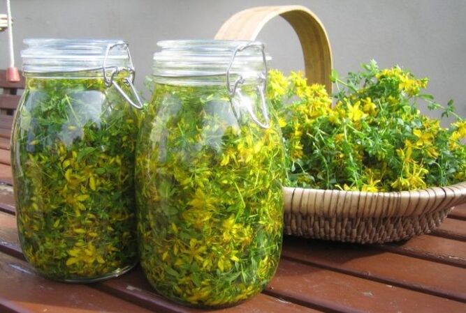 St John's wort tincture for potency