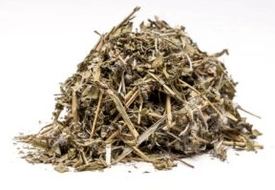 Ivan Tea for Potenza