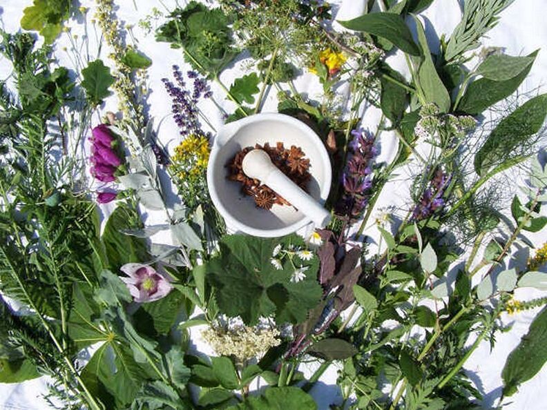 potency treatment with herbs